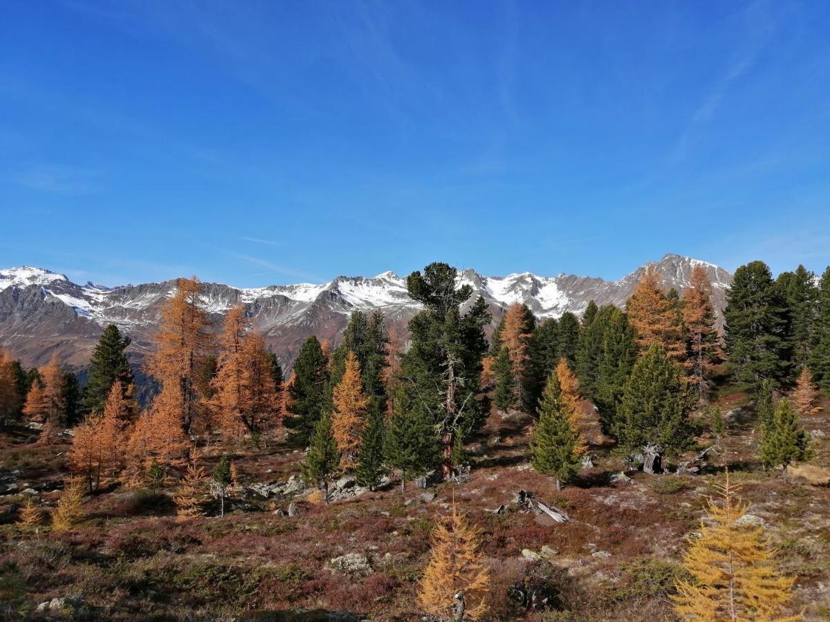 Mountain Alpine Apartman Kappl  Kültér fotó